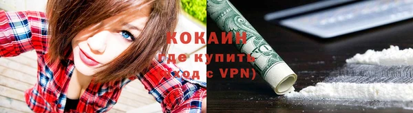 шишки Пестово