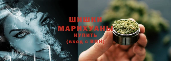 молекула духа Арсеньев