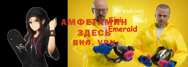 молекула духа Арсеньев