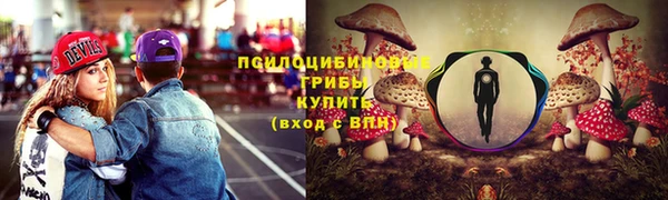 молекула духа Арсеньев