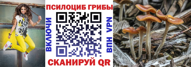 купить наркоту  Губаха  Галлюциногенные грибы GOLDEN TEACHER 